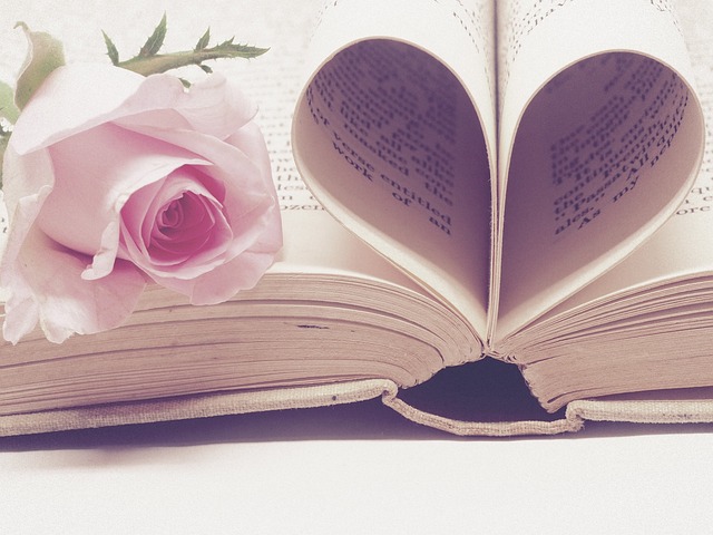 Buch mit Seiten gelegt wie ein Herz und mit einer Rose